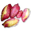 장비뇨기과의원 이미지