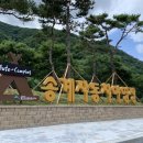 [충청북도 충주시] 클럽멤피스글램핑