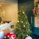 독클래스 이미지