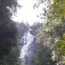 Shannon Falls Provincial Park 이미지
