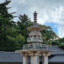 조성우의붕어빵계란빵 | 파랑새투어 여행사 당일치기 경주 버스투어, 최악과 최고의 롤러코스터를 탄 후기
