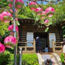 보탑사 | 진천 가볼 만한 곳 보탑사 사찰 후기｜조용한 분위기의 힐링 장소