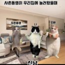 오토축산 이미지