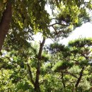 남천병원 이미지