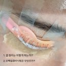 트리트빈(TREATBIN) | 대구 속눈썹펌 수강/ 대구 속눈썹 원데이/ 반월당 속눈썹 잘하는 곳/ 트리트빈