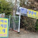 엄마와까치집두개 이미지