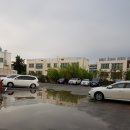 소돈소돈 이미지