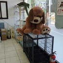 시지동물병원 이미지