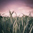 손해평가사 2차 이미지