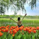 꽃등채 | [맛집] 고양꽃박람회 보고 어랑생선구이 먹다 = 헤븐조합