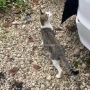 삼막골카라반펜션 이미지