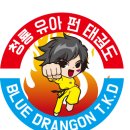 용인대 금곡 태권도 이미지