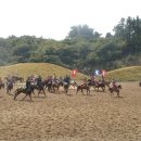 제주도똥돼지
