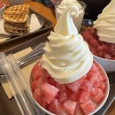 와플온 | [숙대맛집] 딸기빙수 원조 '와플하우스'에서 6월 한정 수박빙수&amp;와플 뿌시고 온 후기!