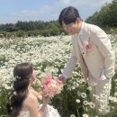 설레다 | [웨딩촬영] 제주 드레스/메이크업 샵_설레다 후기 (촬영후기)