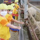 산새목장 이미지