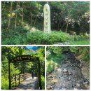 [8월13일] 홍천 미약골 트레킹산행 이미지