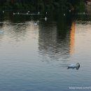 백조당구장 이미지