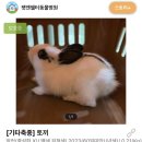 조재진 동물병원 이미지