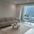 그린카페트 소파세탁 | 🏠체고케어 소프트 방수 러그 (슬럽 샌드 아이보리) - 내돈내산 고양이 집사 만족도 굿