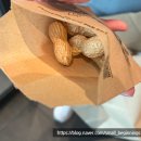 포하우스아울렛 | 송현아 아기랑 맛집 - 텍사스 로드하우스 현대프리미엄아울렛 송도점