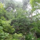 도산초등학교 | [사찰 탐방] 산청 8경 중의 한 곳, 정취암