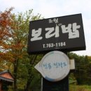 초월보리밥