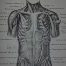 재생한의원 이미지