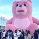 2024년 화순 버스킹 | 2024 화순 고인돌 봄꽃축제 핑크 벨리곰 피크닉장소