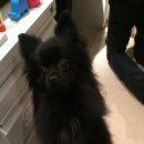 주식회사 고양이정원 이미지