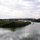 을숙도 생태공원 이미지