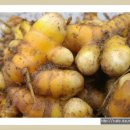 월문5리 이미지