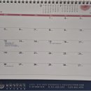 세무회계늘품