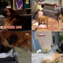 역전농장 이미지