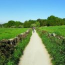 산티아고 순례길 [the Way of St. James, Camino de Santiago] 이미지