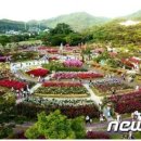 장미축제 이미지