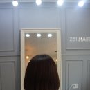 헤어251