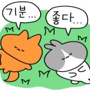 판타스틱동전노래연습장 이미지