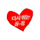 광장서대회(교동점) 이미지