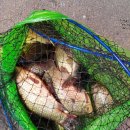 남한강낚시 이미지