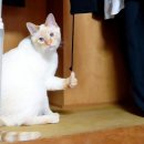 따봉 - 화천군 중앙로6길 13-9 | 따봉