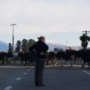 호수세탁소 이미지