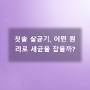 서울식플란트치과의원 이미지