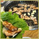 미조뒷고기 이미지