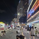 창원호텔삼거리 | 광안리 차없는거리 시간 총정리! 주말 밤 걷기 좋은 시간대와 카카오프렌즈 포토존 후기