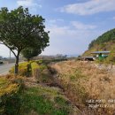 마을위(덕곡) 이미지