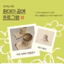 연서네 이미지