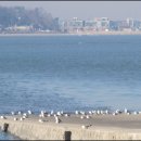 자연 농원 이미지