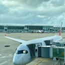 558 | 카이로 직항 : 가을, 겨울에만 있는 전세기 OZ557, OZ558