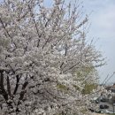 신장근린공원3 이미지